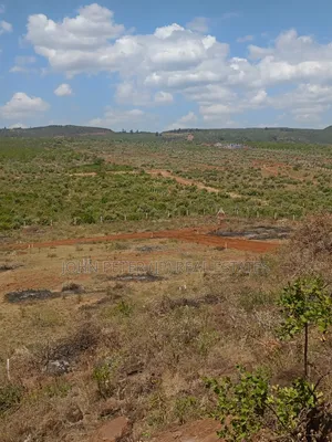 Residential or Investment Plots in Nachu