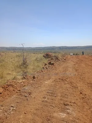 Residential or Investment Plots in Nachu