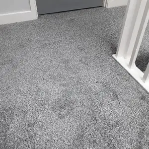 Long-Lasting Delta Wall-to-Wall Carpets for Sale