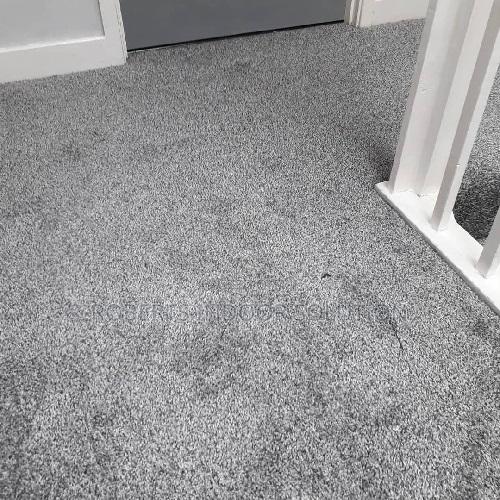 Long-Lasting Delta Wall-to-Wall Carpets for Sale