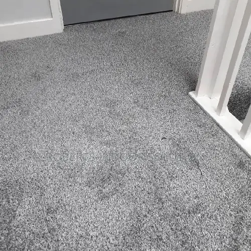 Long-Lasting Delta Wall-to-Wall Carpets for Sale