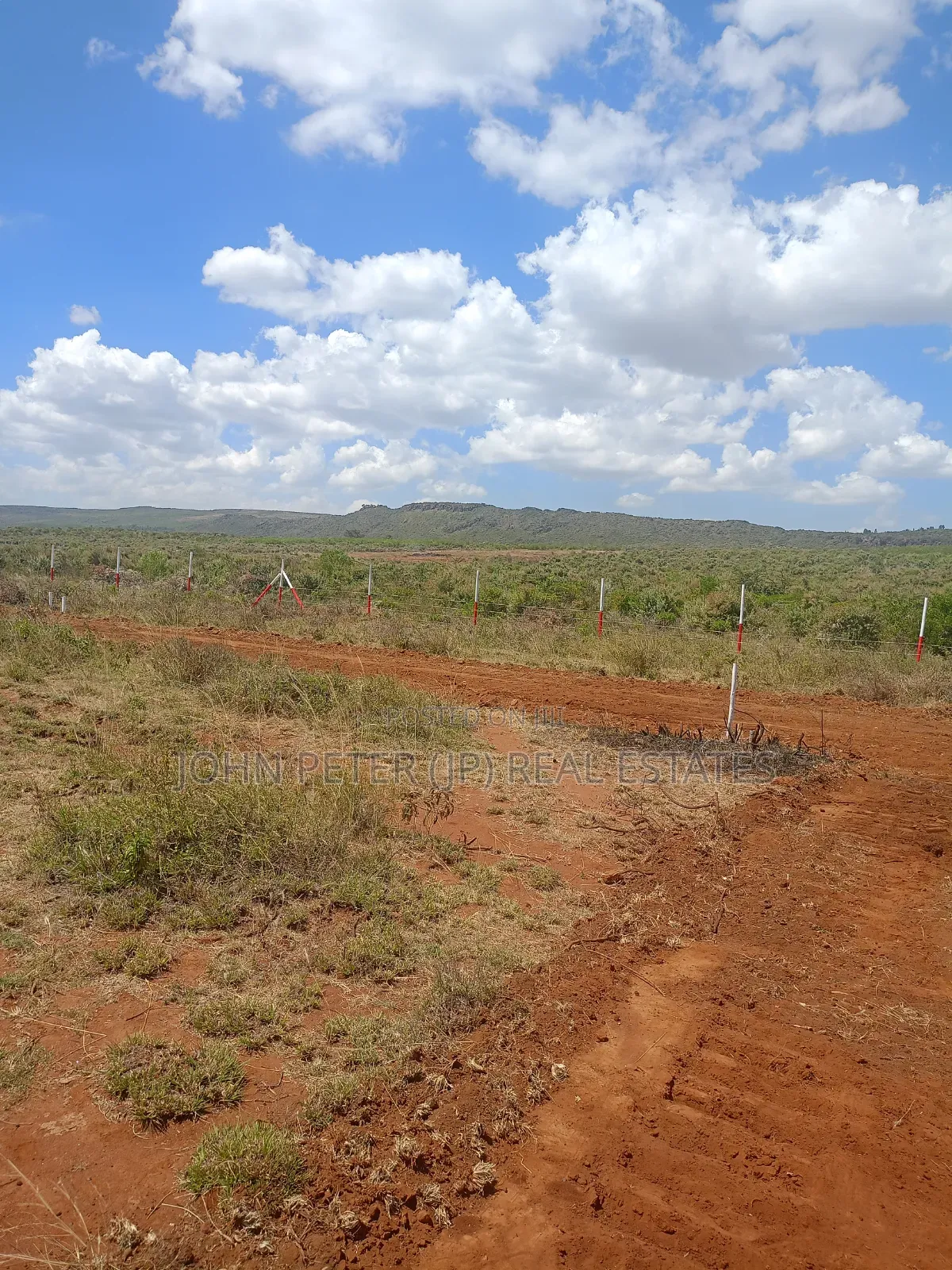 50 by 100 Plots