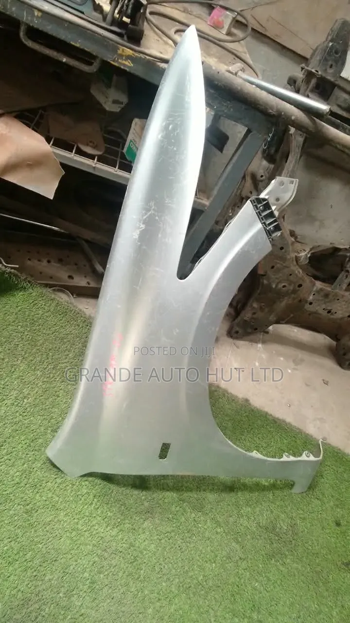 Honda Stream Fender/Wing