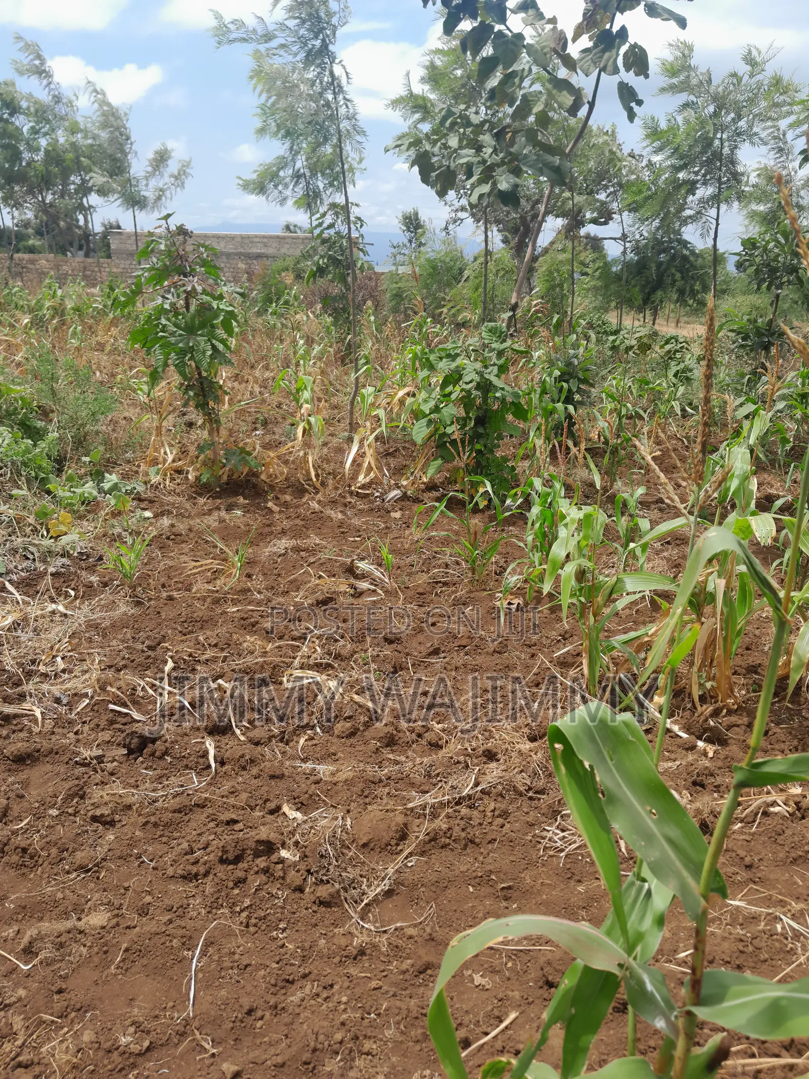 1/4 Acre (100X100) Plot Kiirua Naari (200m Off Meru-Nanyuki H/Way)