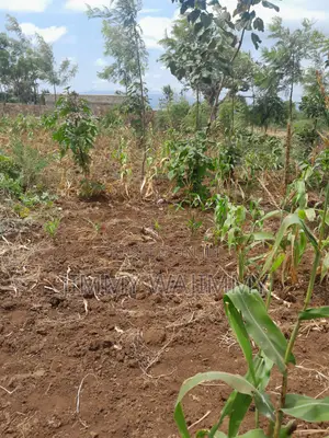1/4 Acre (100X100) Plot Kiirua Naari (200m Off Meru-Nanyuki H/Way)