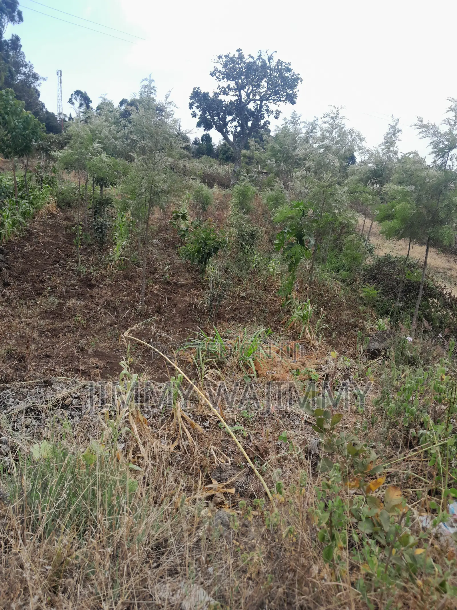 1/4 Acre (100X100) Plot Kiirua Naari (200m Off Meru-Nanyuki H/Way)