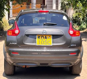 Nissan Juke 2013 Gray