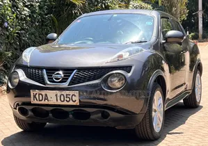 Nissan Juke 2013 Gray