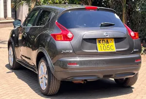Nissan Juke 2013 Gray