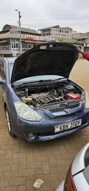 Toyota Caldina 2003 Blue