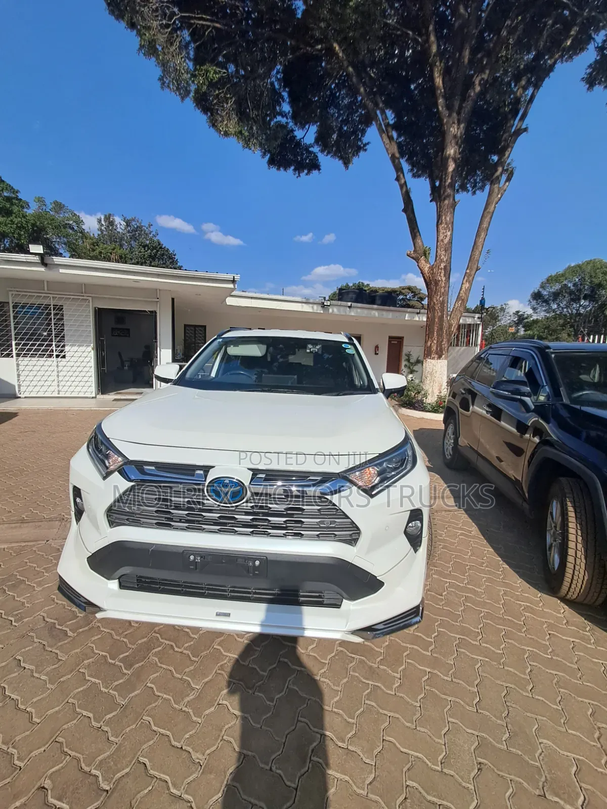 Toyota RAV4 LE AWD 2019 White
