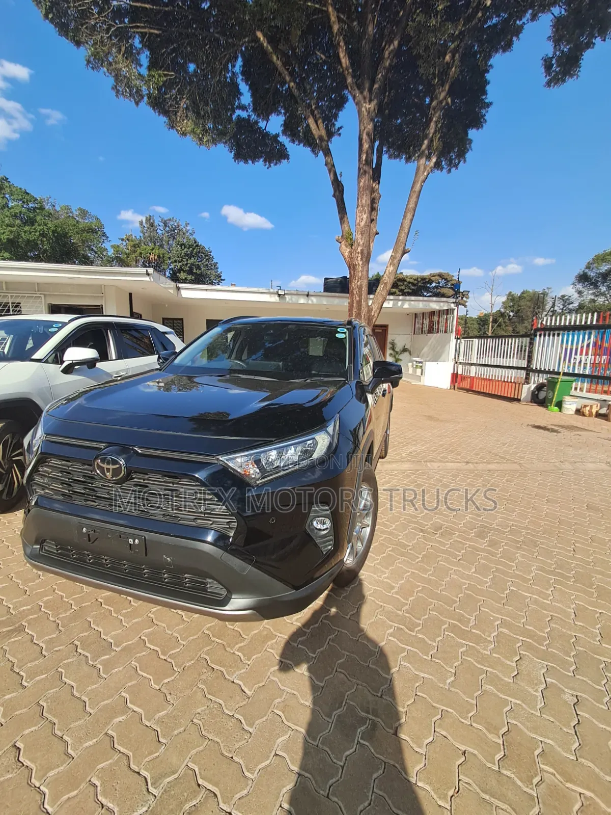 Toyota RAV4 LE AWD 2019 Black