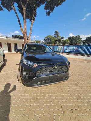 Toyota RAV4 LE AWD 2019 Black
