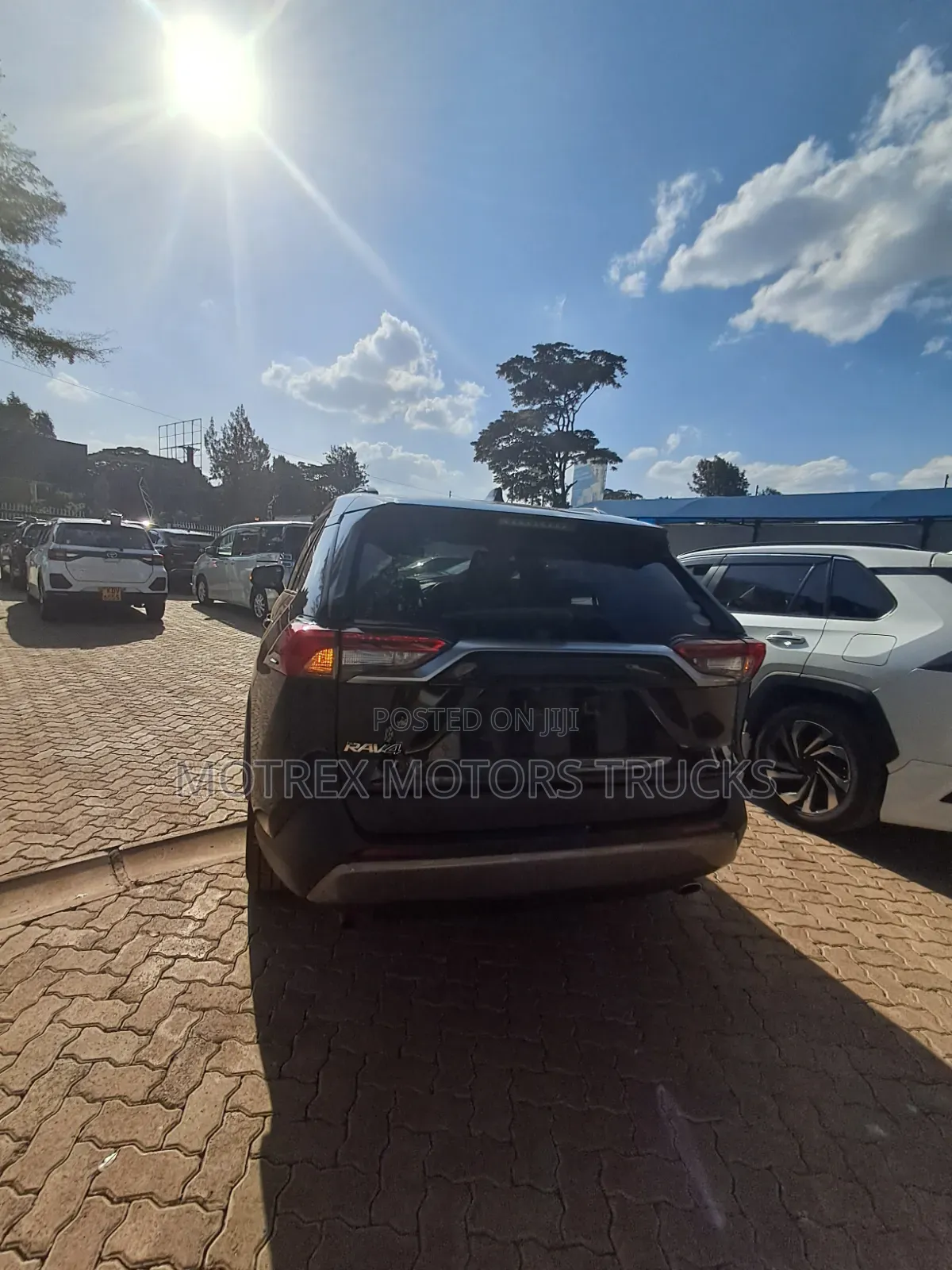 Toyota RAV4 LE AWD 2019 Black