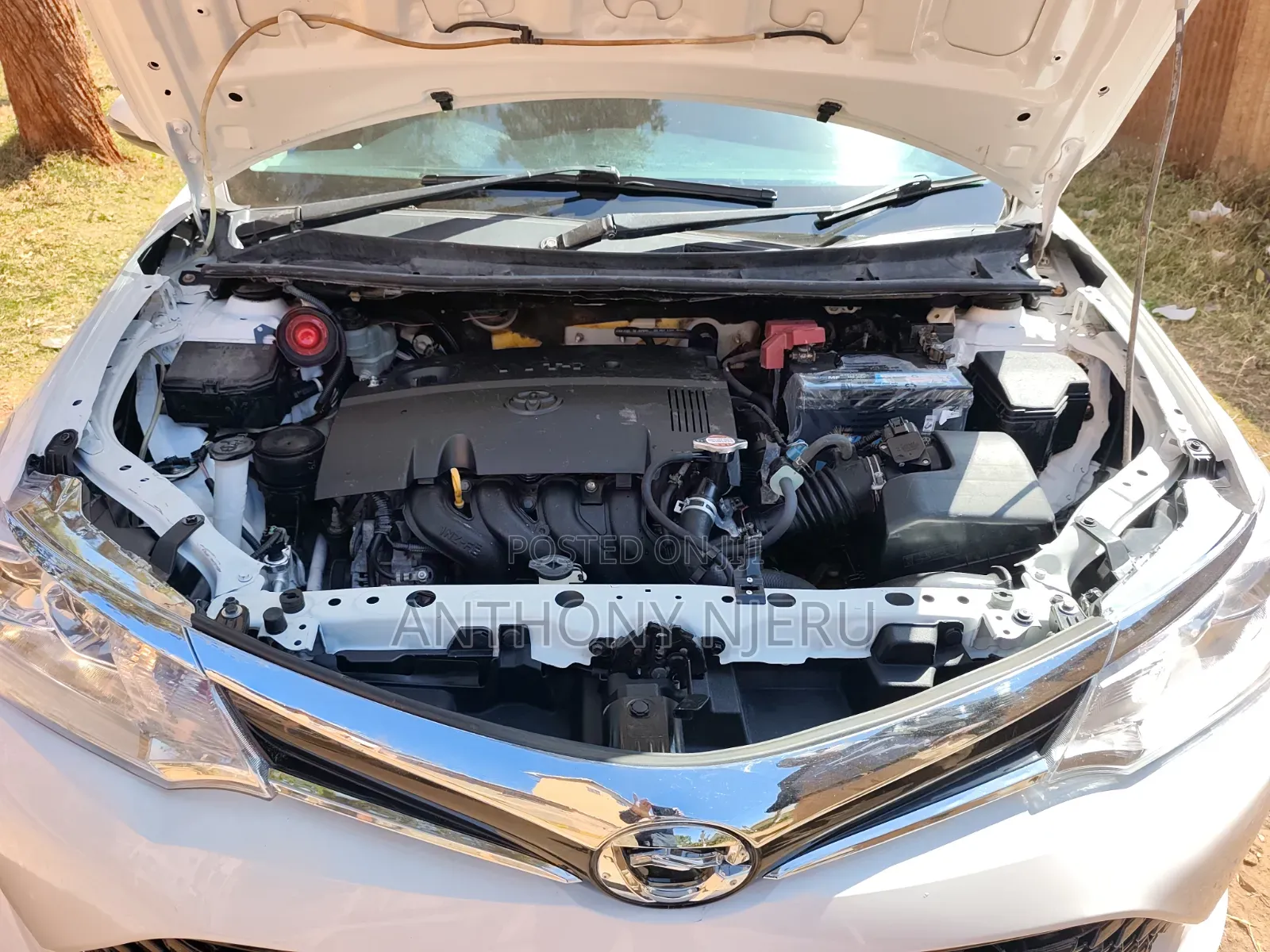 Toyota Corolla Fielder 2017 White