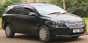 Toyota Corolla Fielder 2008 Black