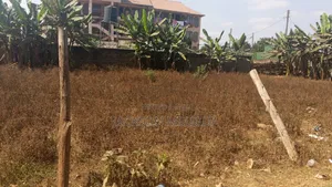 Plot for Sale