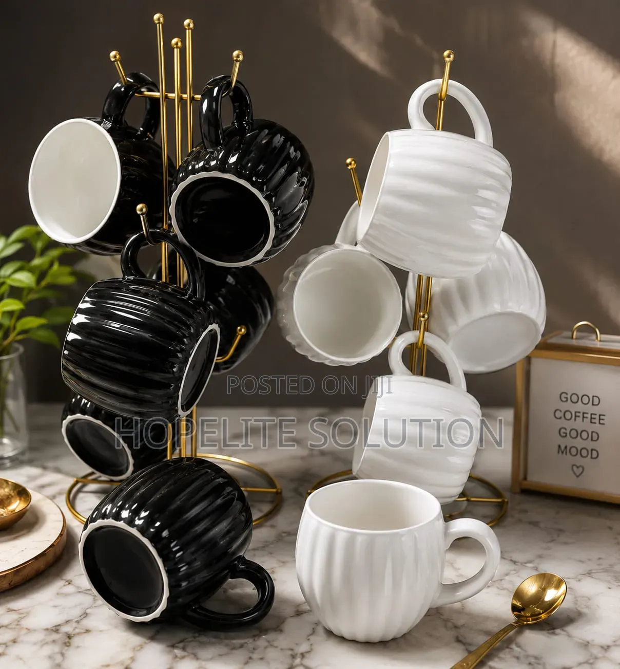 6pcs Elegant Fine Porcelain Ceramic Mug