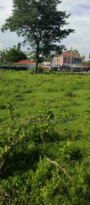 Tido Plot 0.03ha