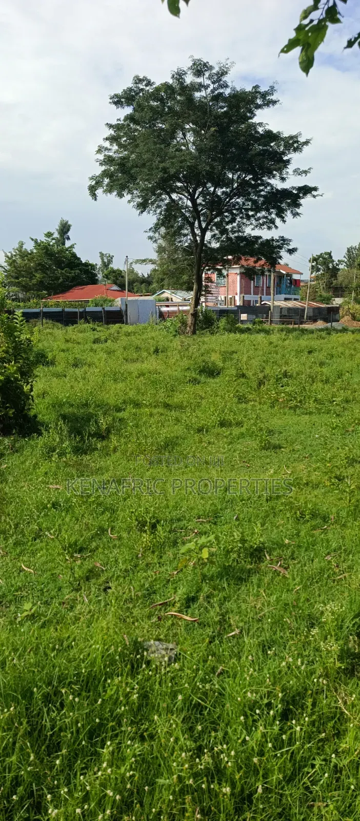 Tido Plot 0.03ha