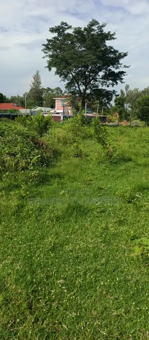 Tido Plot 0.03ha