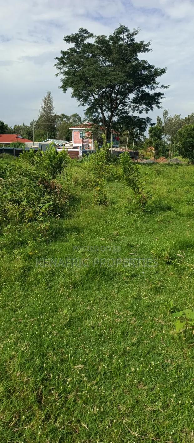 Tido Kasule Plot 0.03ha - thumbnail 3