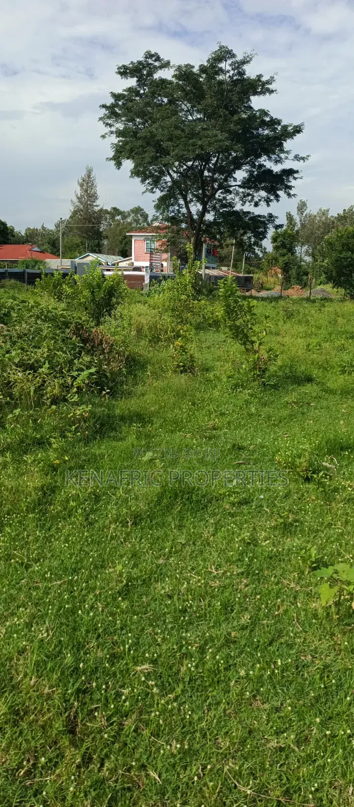 Tido Plot 0.03ha