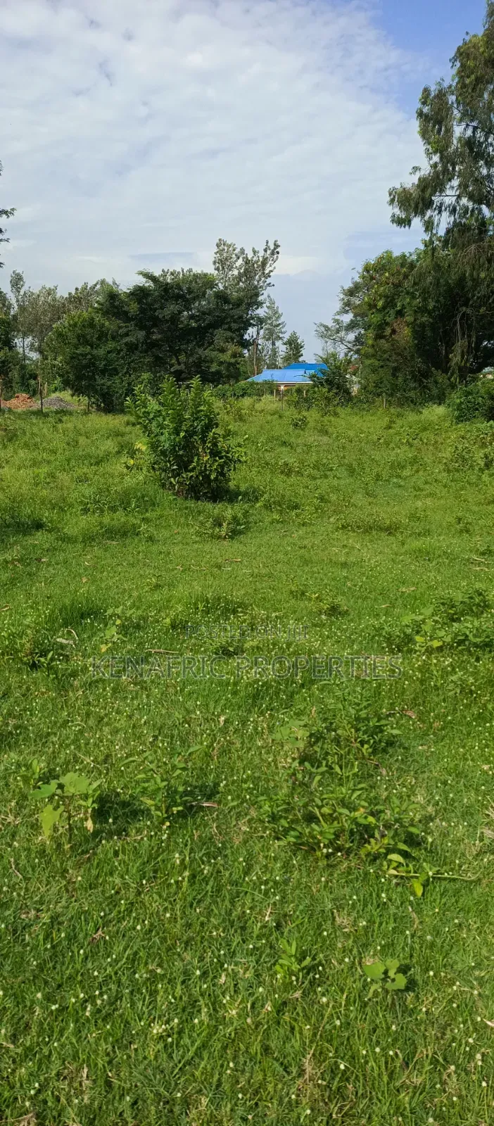 Tido Plot 0.03ha