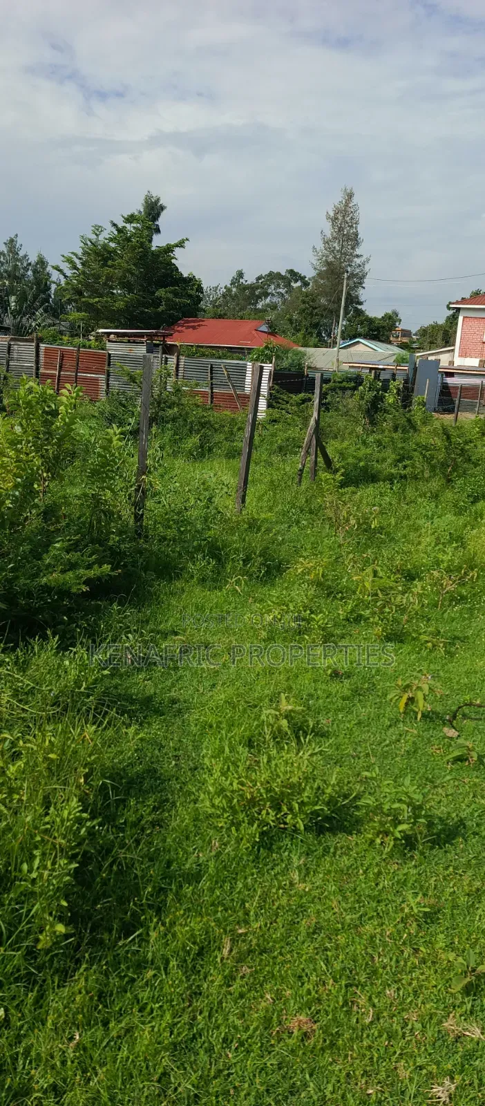 Tido Plot 0.03ha