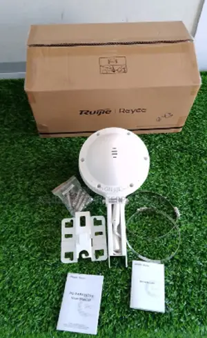 Ruijie Network Switch