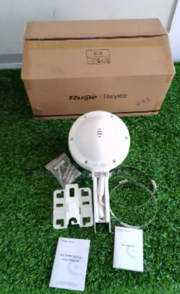 Ruijie Network Switch