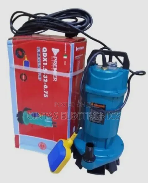 Premier Electric Submersible Water Pump