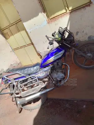 Bajaj Boxer 125 2010 Gray