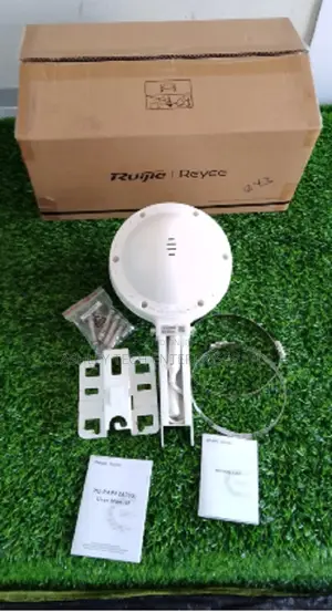 Ruijie Gigabit Ethernet Switch