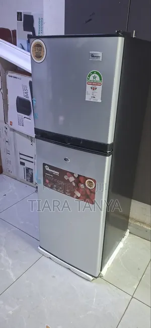 138lt Double Door Fridge Direct Cool, Stainless Steel – Rf/349