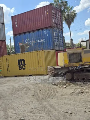 20 Ft Karibu Container