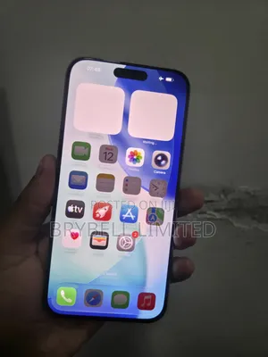 Apple iPhone 15 Pro Max 256 GB Gray