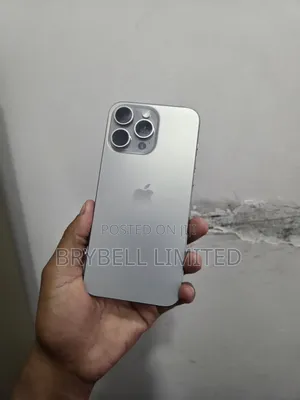 Apple iPhone 15 Pro Max 256 GB Gray