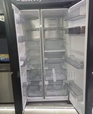 Hisense Ref668dr Side by Side Fridge Featuring Black Finish 549l