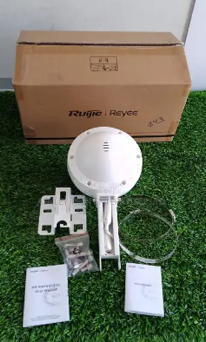 Ruijie Enterprise Network Switch