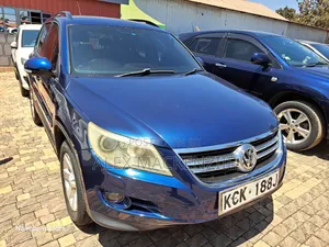 Volkswagen Tiguan 2009 Blue