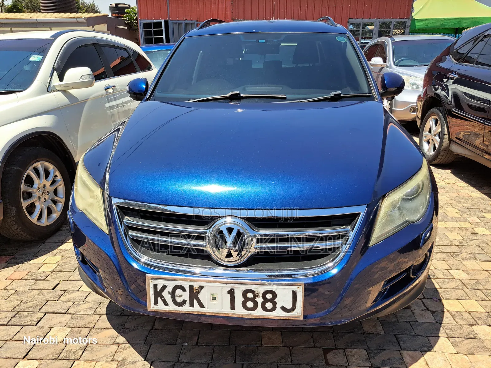 Volkswagen Tiguan 2009 Blue