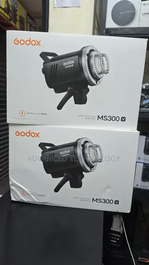 Godox Ms300 v Strobe