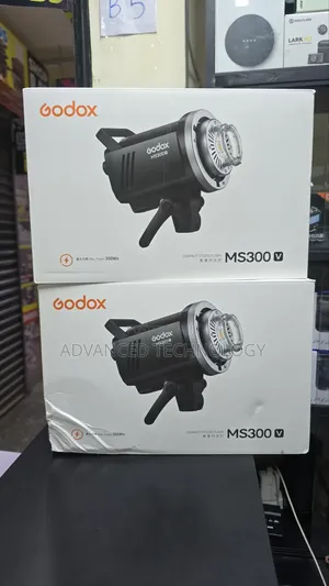Godox Ms300 v Strobe