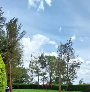 Runda Plot on Sale
