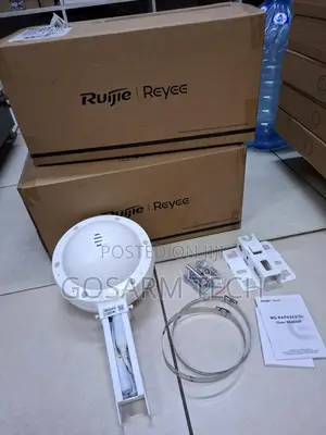 High Performance Ruijie Rg-Rap6262(G) Mesh Outdoor Access Point