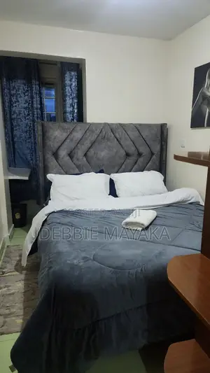 Furnished 1bdrm Apartment in Mirema Drive, Roysambu for rent
