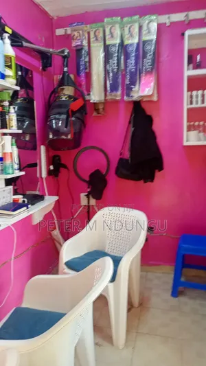 Salon on Sale, Zimmerman