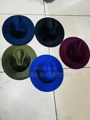 Multi Colored Wide Brim Fedora Hats