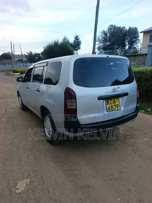 Toyota Probox 2008 Silver